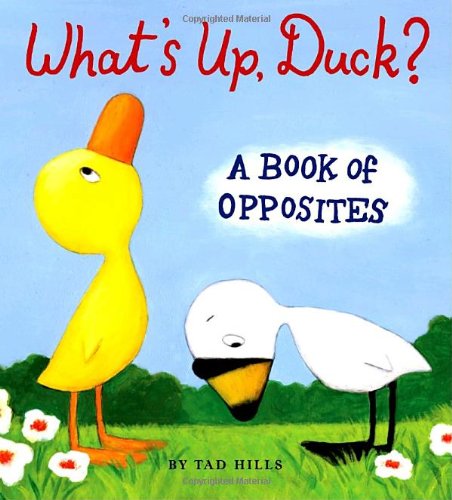 What's Up, Duck?: A Book of Opposites (Duck & Goose) by Tad Hills