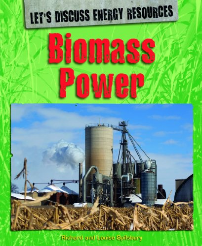 Biomass Power by Richard Spilsbury