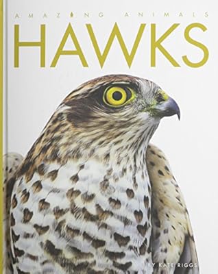 Amazing Animals Hawks