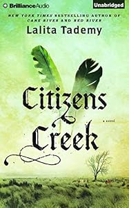 Citizens Creek: A Novel
