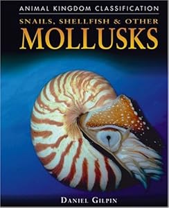 Snails, Shellfish, and Other Mollusks (Animal Kingdom Classification)