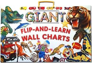 Giant Flip-and-Learn Wall Charts