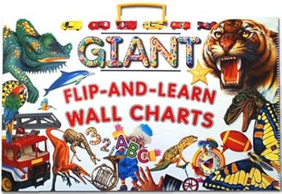 Giant Flip-and-Learn Wall Charts