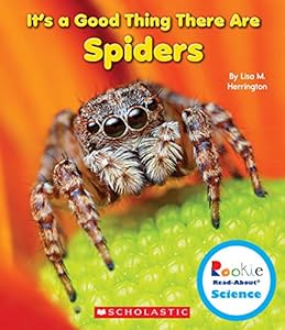 It's a Good Thing There Are Spiders