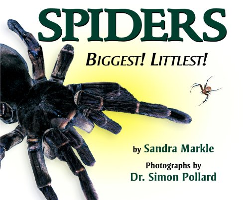 Spiders: Biggest! Littlest! by Sandra Markle