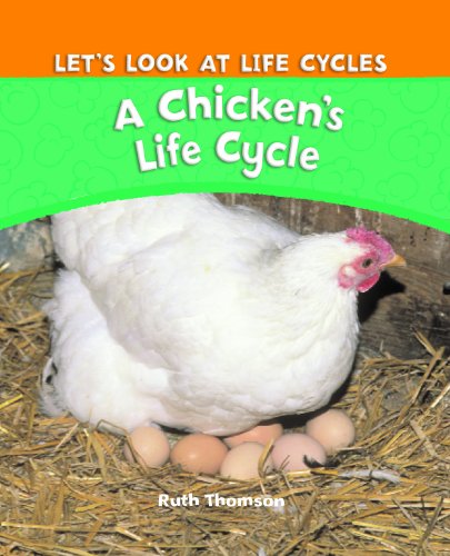 A Chicken's Life Cycle by Ruth Thomson