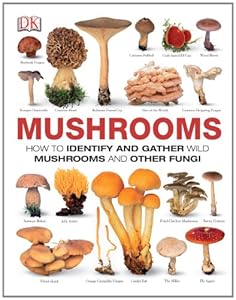 Mushrooms by Thomas Laessoe