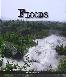 Floods by Peter Murray