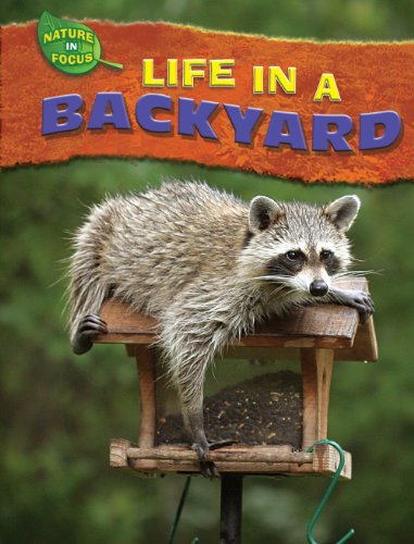 Life in a Backyard by Jen Green