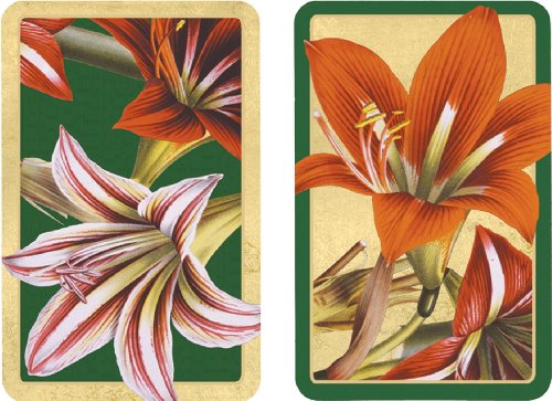 Entertaining with Caspari Double Deck of Bridge Playing Cards with Jumbo Typeface, Amaryllis, Set of 2