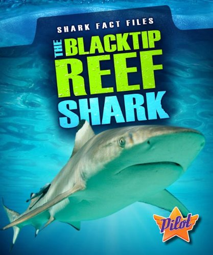 The Blacktip Reef Shark by Sara Green