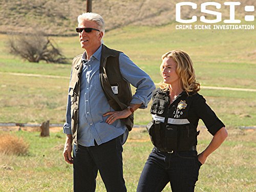 CSI, crime scene investigation by Ted Danson