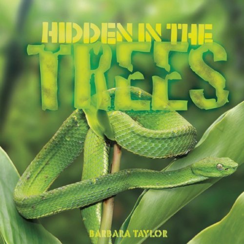 Hidden in the trees by Barbara Taylor