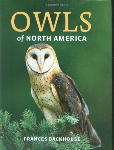 Owls of North America by Frances Backhouse