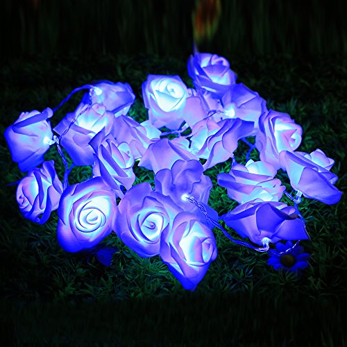 Homdox 2M 20 LED Seasonal Decoration Rose Flower Fairy String Lights for Wedding Christmas Holiday Party Decor valentine lights string (Blue)