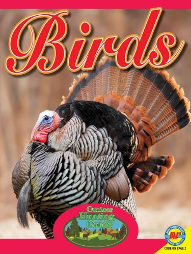 Birds with Code by Pamela McDowell