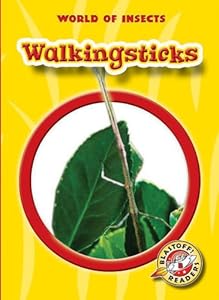 Walkingsticks (Blastoff! Readers: World of Insects) (World of Insects ; Blastoff Readers Level 2)