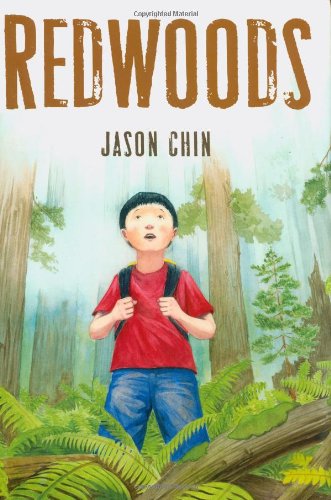 Redwoods by Jason Chin