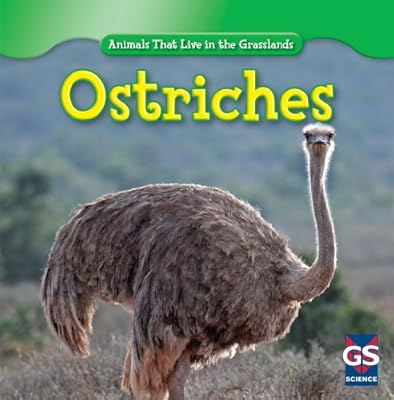 Ostriches