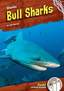 Bull Sharks (Sharks: Dash!, Level 1)