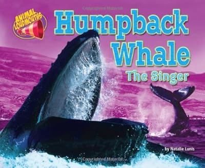 Humpback whale