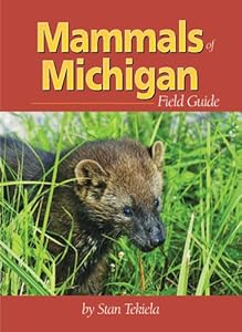 Mammals of Michigan Field Guide