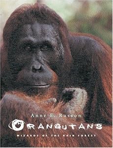 Orangutans: Wizards of the Rain Forest