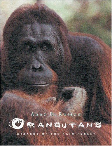 Orangutans: Wizards of the Rain Forest by Anne E. Russon