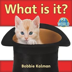 What Is It? (Bobbie Kalman's Leveled Readers: My World: A)