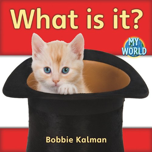 What Is It? (Bobbie Kalman's Leveled Readers: My World: A) by Bobbie Kalman