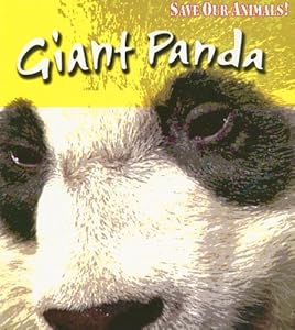 Giant Panda (Save Our Animals!)