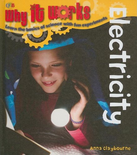 Electricity (Why It Works) by Anna Claybourne