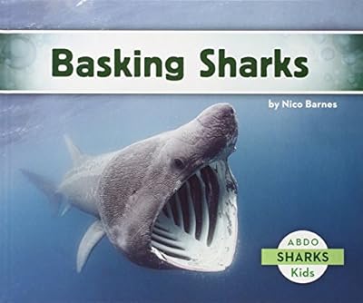 Basking Sharks