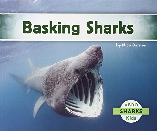 Basking Sharks by Nico Barnes