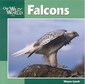 Falcons (Our Wild World)
