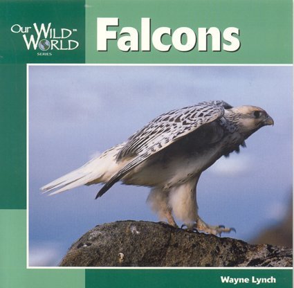 Falcons (Our Wild World) by Wayne Lynch
