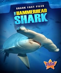 The hammerhead shark