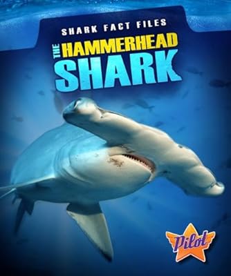 The hammerhead shark