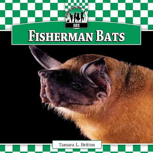 Fisherman Bats by Tamara L. Britton