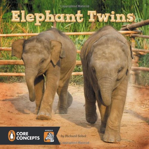 Elephant Twins by Richard Sobol