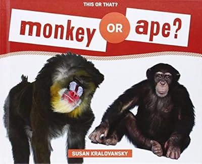 Monkeys &amp; Apes