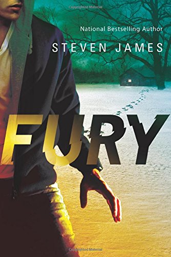 Fury by Steven James