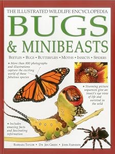 The Illustrated Wildlife Encyclopedia: Bugs & Minibeasts: Beetles, Bugs, Butterflies, Moths, Insects, Spiders