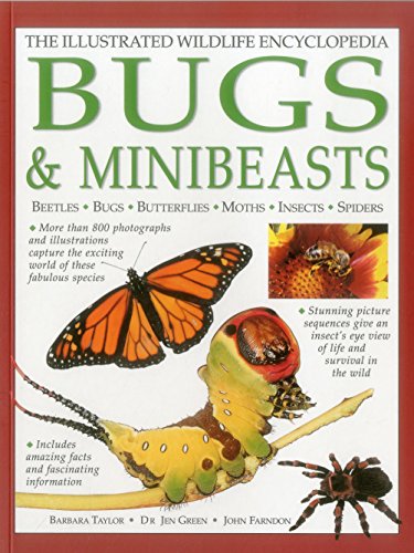 The Illustrated Wildlife Encyclopedia: Bugs & Minibeasts: Beetles, Bugs, Butterflies, Moths, Insects, Spiders by Barbara Taylor