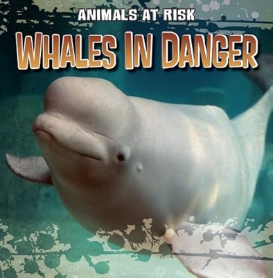 Whales in Danger