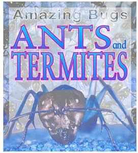 Ants & Termites (Amazing Bugs)