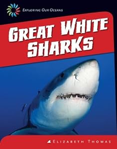 Great White Sharks