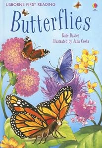 Butterflies: Level Four