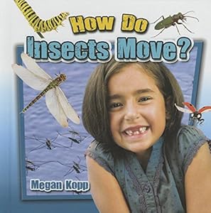 How Do Insects Move?