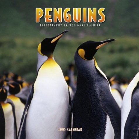 Penguins 2005 Calendar by NOT A BOOK